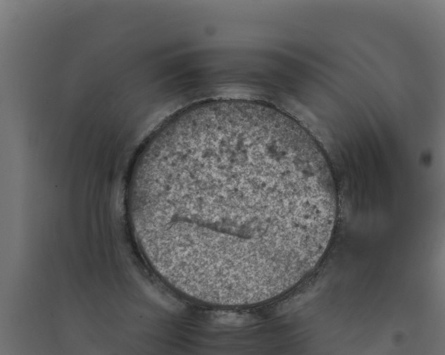 X0000094340347200711241857