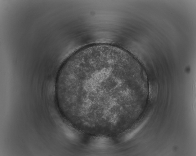 X0000094340348200711241857