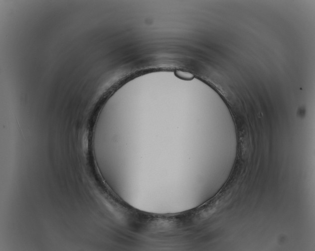 X0000094340350200711241857