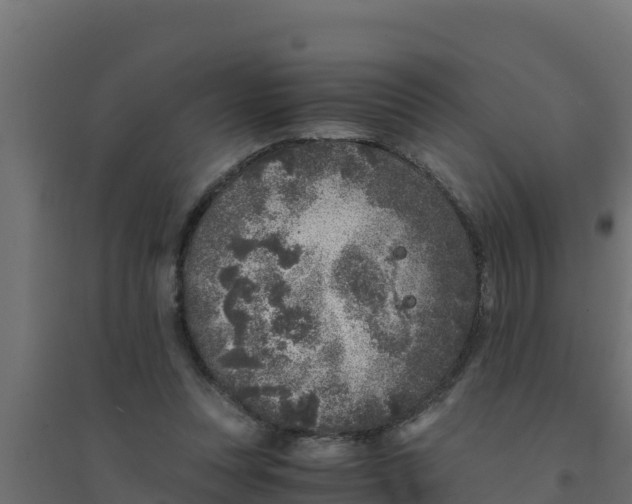 X0000094340351200711241857