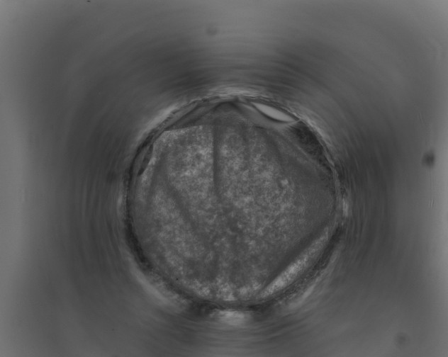 X0000094340352200711241857