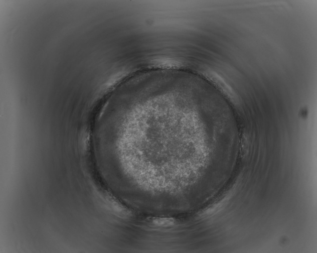 X0000094340355200711241857