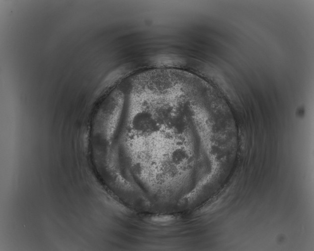 X0000094340357200711241857