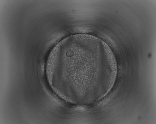 X0000094340358200711241857