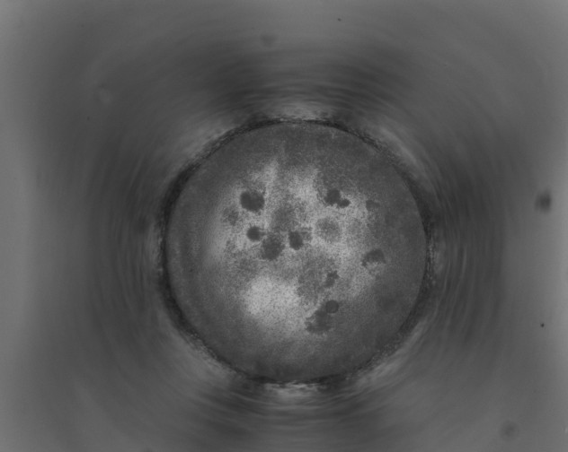 X0000094340359200711241857