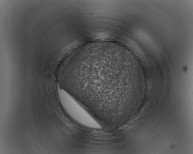 X0000094340361200711241857