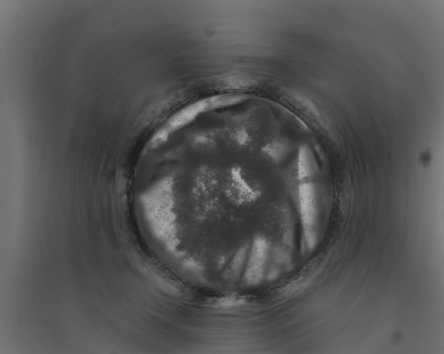 X0000094340366200711241857