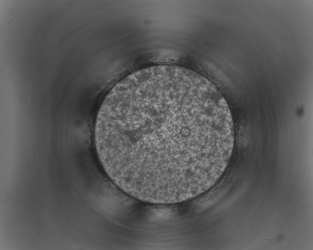 X0000094340370200711241857