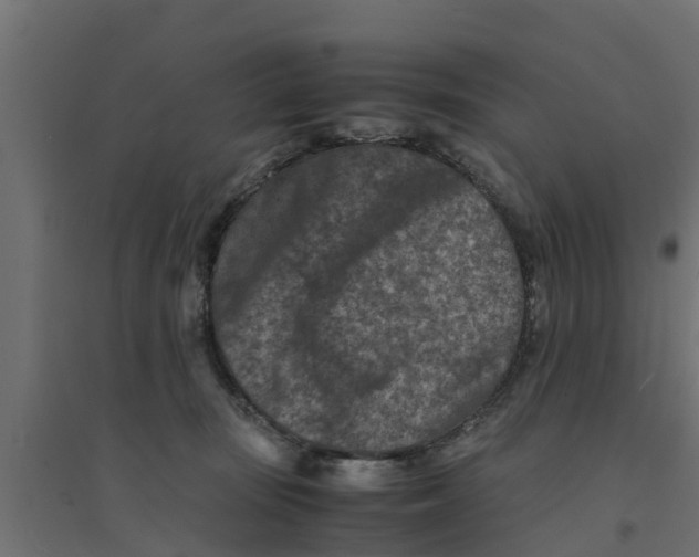 X0000094340371200711241857