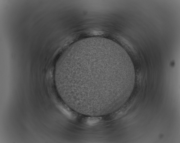 X0000094340373200711241858