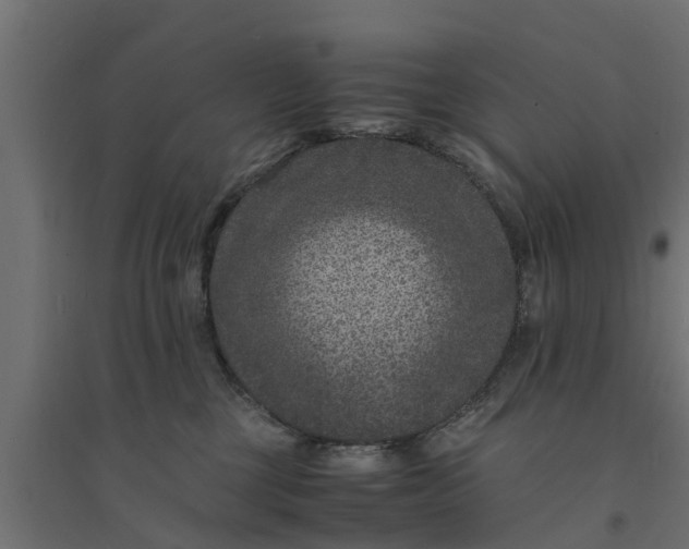 X0000094340377200711241858