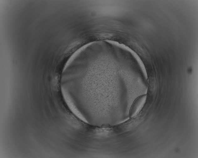 X0000094340378200711241858