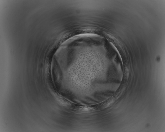 X0000094340379200711241858