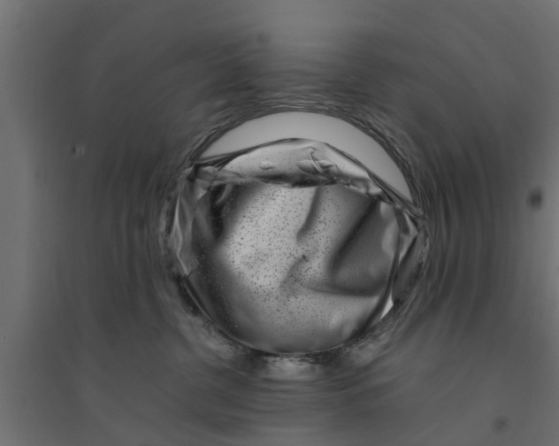 X0000094340380200711241858