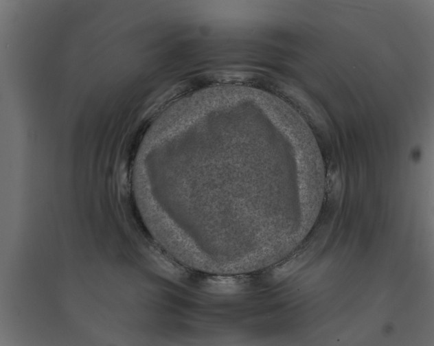 X0000094340381200711241858