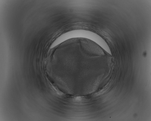 X0000094340382200711241858