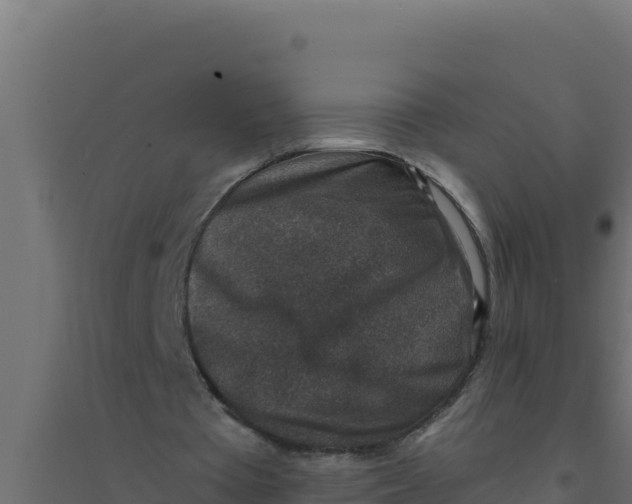 X0000094340385200711241857