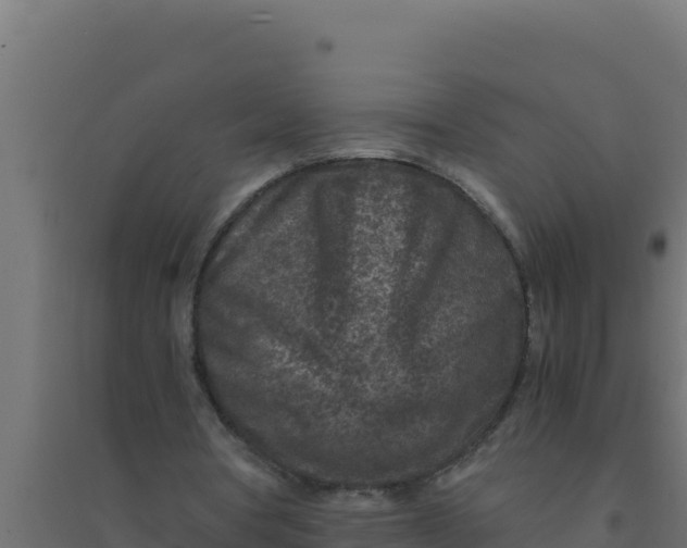 X0000094340386200711241857