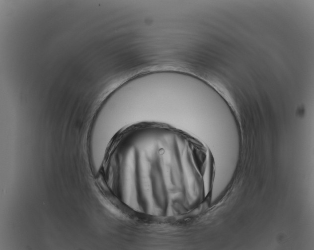 X0000094340389200711241857