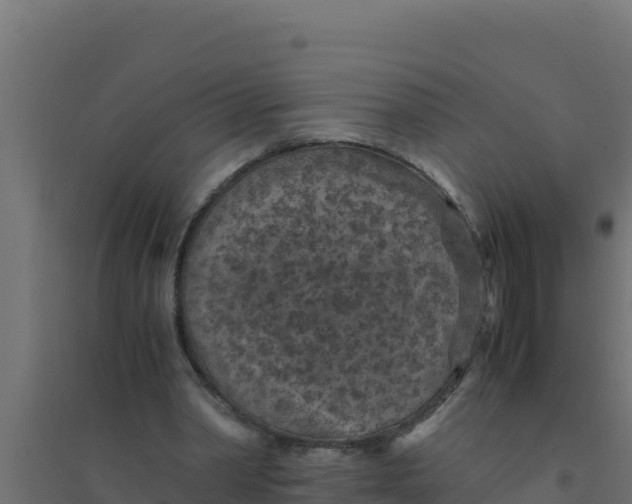 X0000094340390200711241857