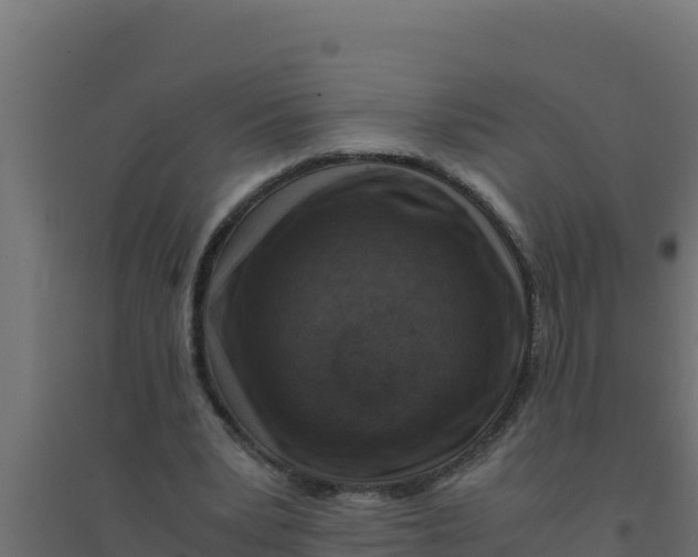 X0000094340391200711241857