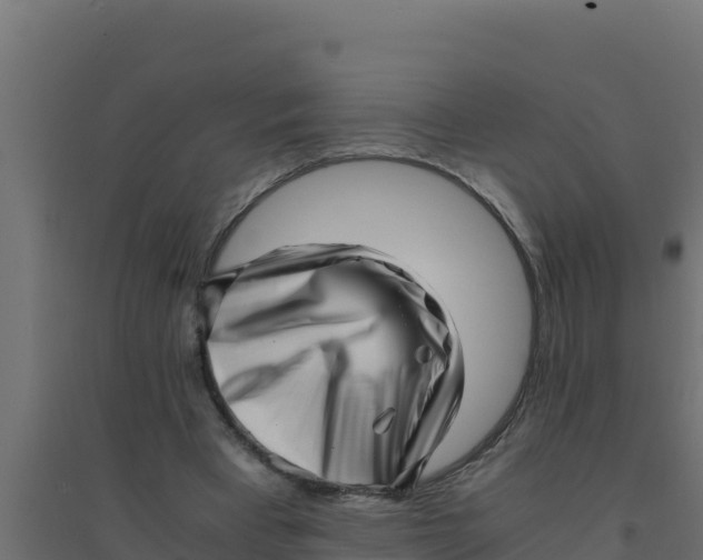 X0000094340393200711241857