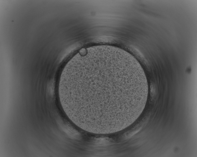 X0000094340396200711241857