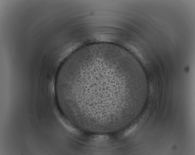 X0000094340398200711241857