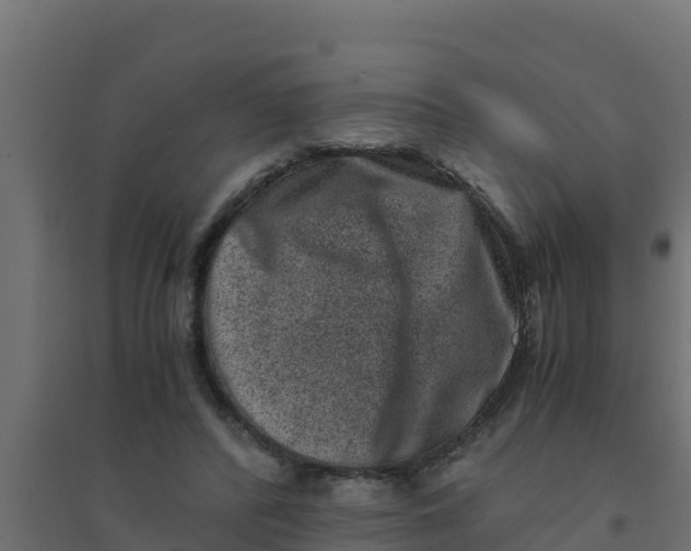 X0000094340400200711241857