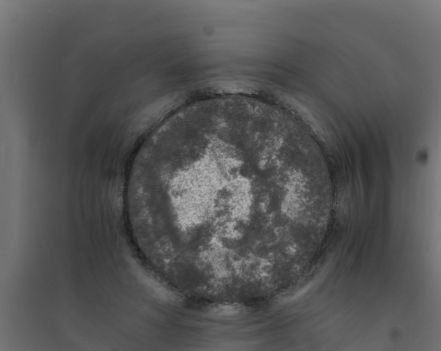 X0000094340402200711241857