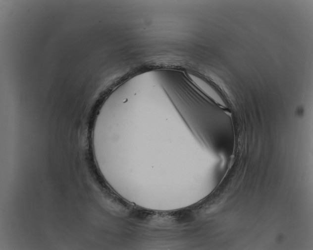 X0000094340403200711241857