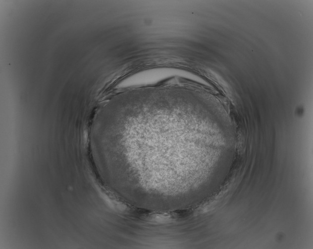 X0000094340405200711241857