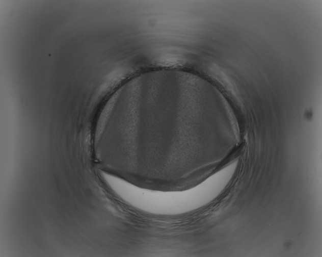 X0000094340407200711241857