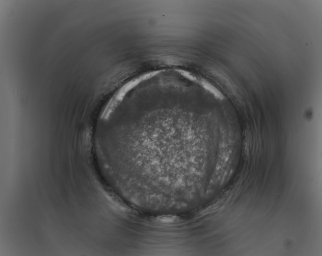 X0000094340410200711241857