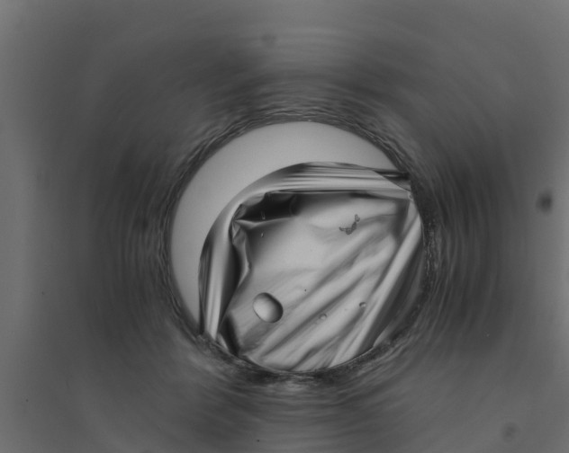 X0000094340412200711241857