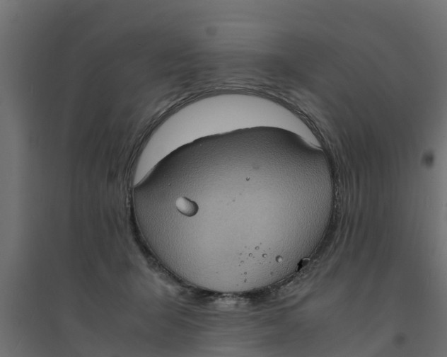 X0000094340415200711241857