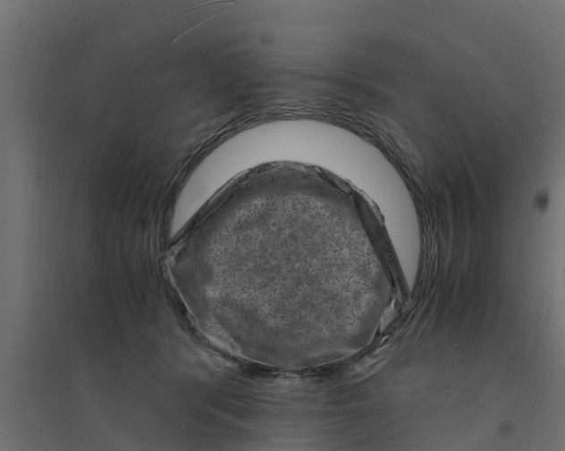 X0000094340416200711241857