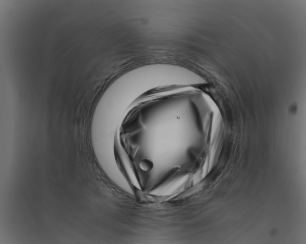 X0000094340417200711241857