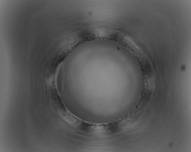 X0000094340419200711241857