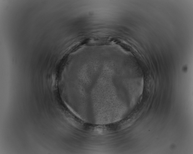 X0000094340420200711241857