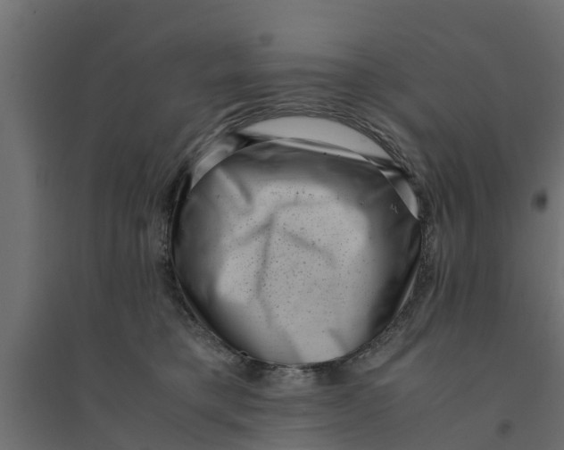 X0000094340421200711241857