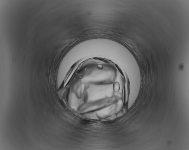 X0000094340423200711241856