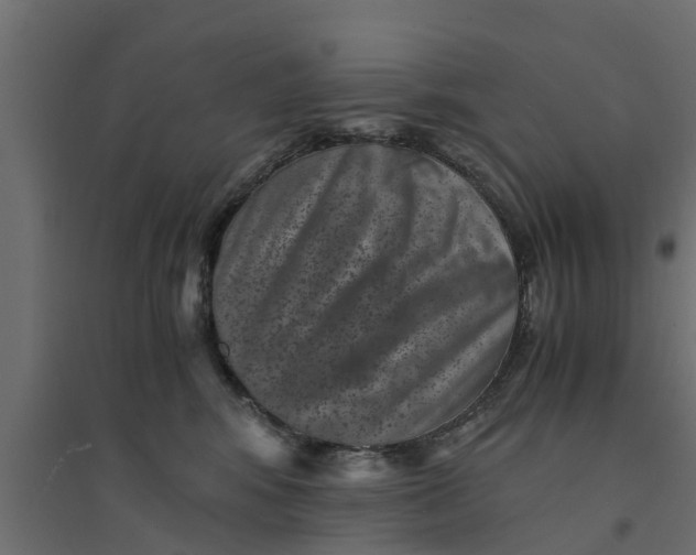 X0000094340424200711241856