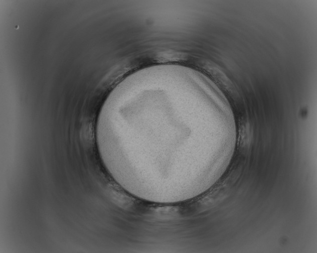 X0000094340426200711241856