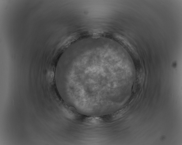 X0000094340427200711241856