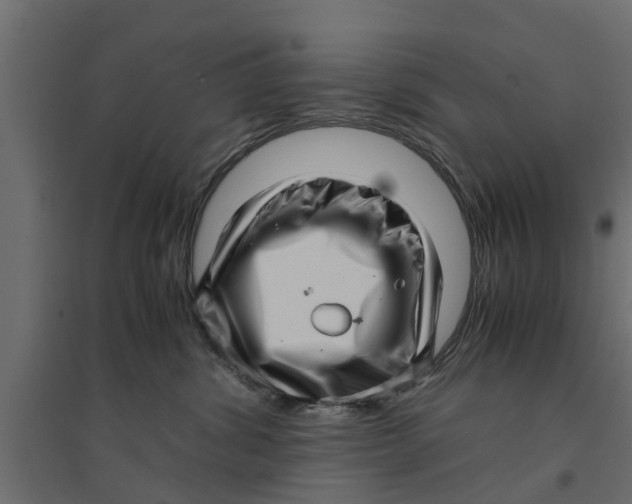 X0000094340428200711241856