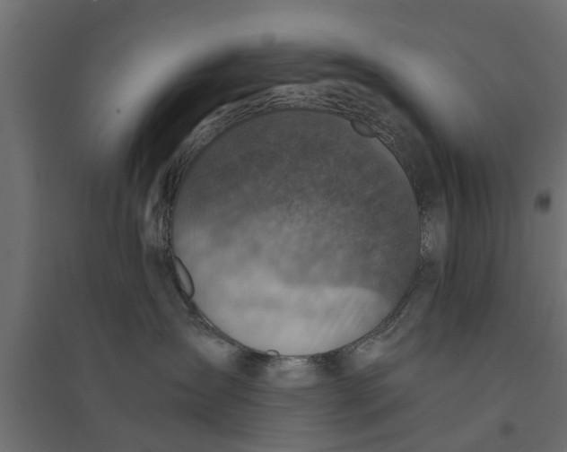 X0000094340431200711241856