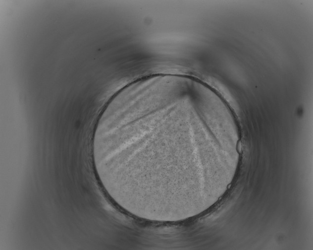 X0000094340433200711241856