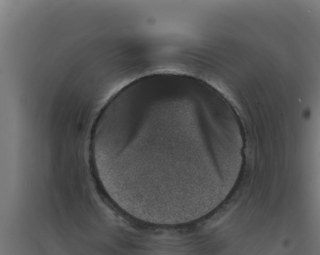 X0000094340434200711241856