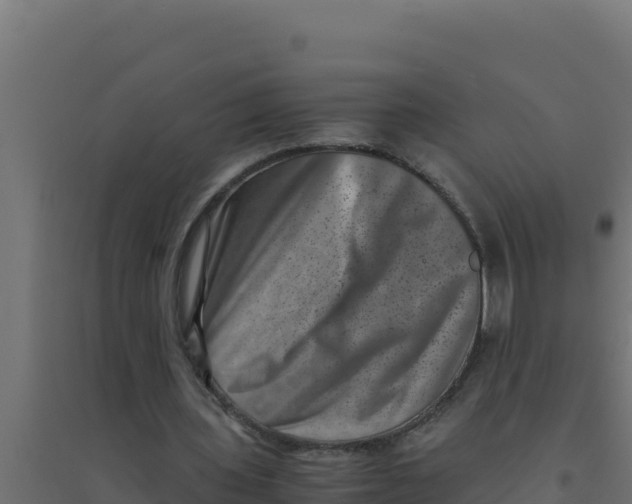 X0000094340435200711241856